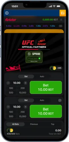 Game interface with two bet fields